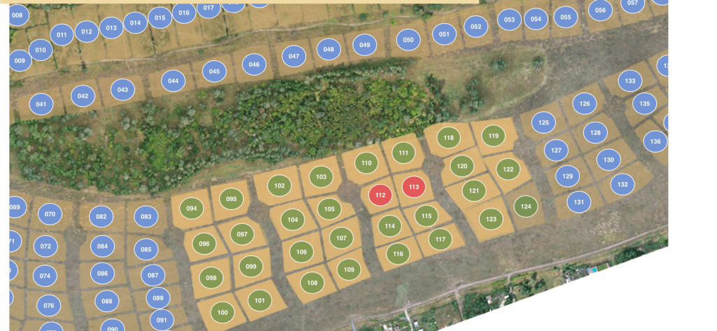 Первый покупатель