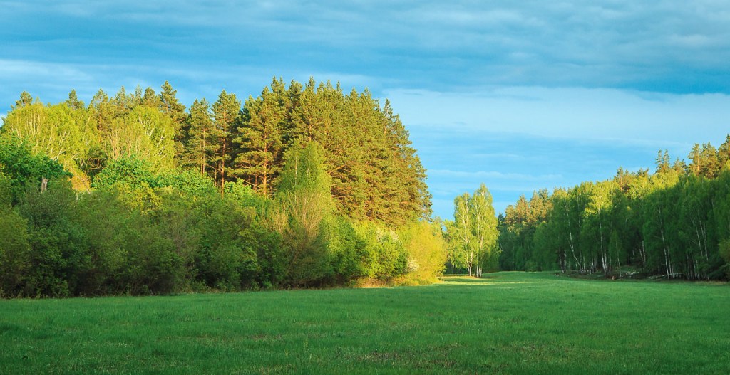 Новый адрес усадеб- Старобинарадский бор